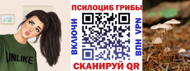 Галлюциногенные грибы GOLDEN TEACHER  как найти наркотики  Собинка 